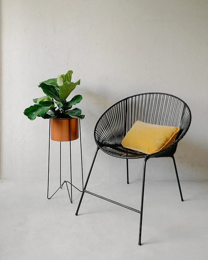Conjunto - Suporte Bem-te-vi 65 + Cachepô com aba 21