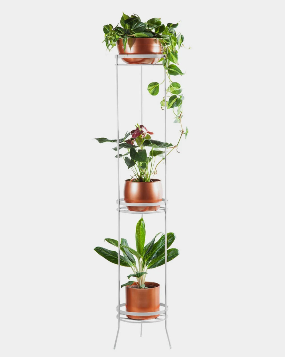 Suporte para plantas Sabiá 150 - Sob encomenda