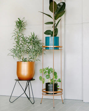 Suporte para plantas Andorinha 30