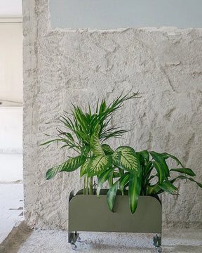 Jardineira Curió 25x60 - Sob encomenda