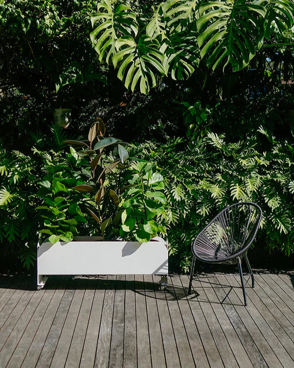 Jardineira Curió 25x95 - Pronta entrega