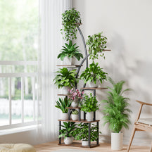 Prateleira de plantas grandes